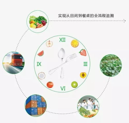 禾中味道 平面設(shè)計(jì)如何還你從田間到餐桌的真相